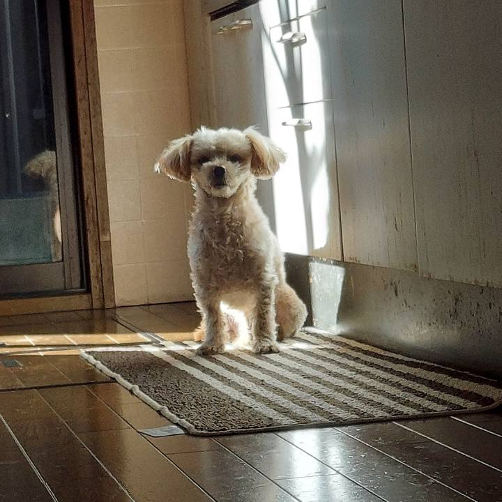 9cb1a885 22f9 48e2 bb97 0159175e0afe 1671773700611