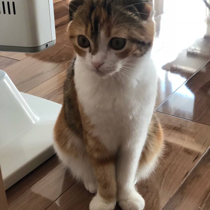 9cb1c701 f8e5 43ee 9391 31b608db2ed6 1513477310060