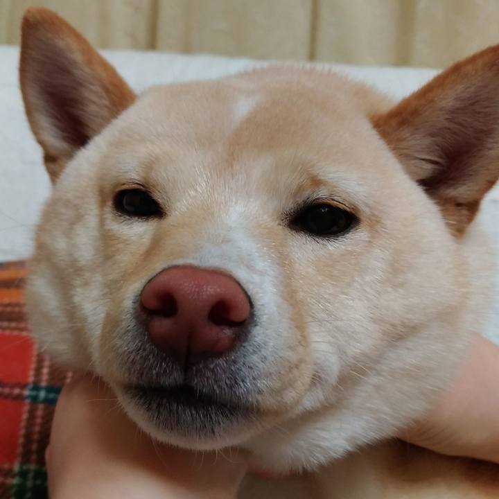 9cb217fa 2a7a 41b5 bb92 cb02a8477bd8 1515155018157