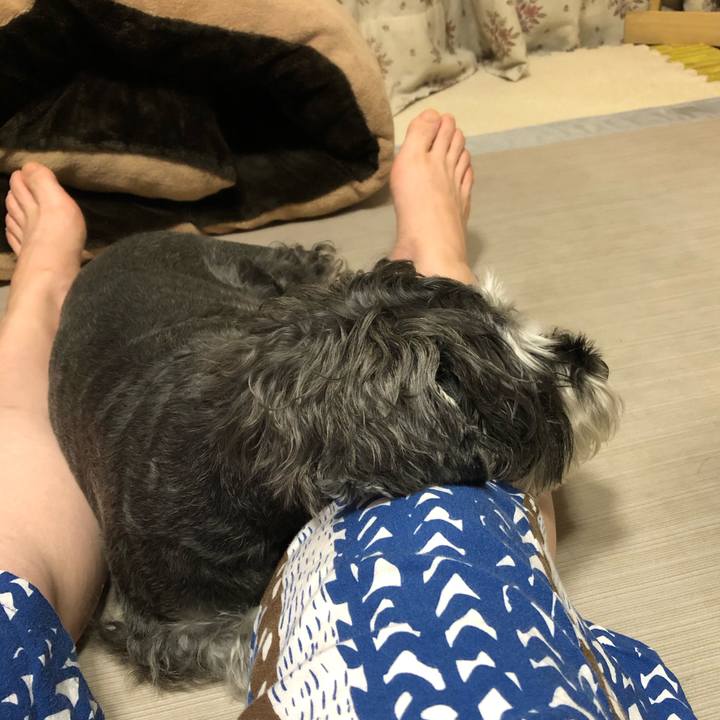 9cb23849 0399 4768 addb 3c7f5d2dc65d 1625740111689