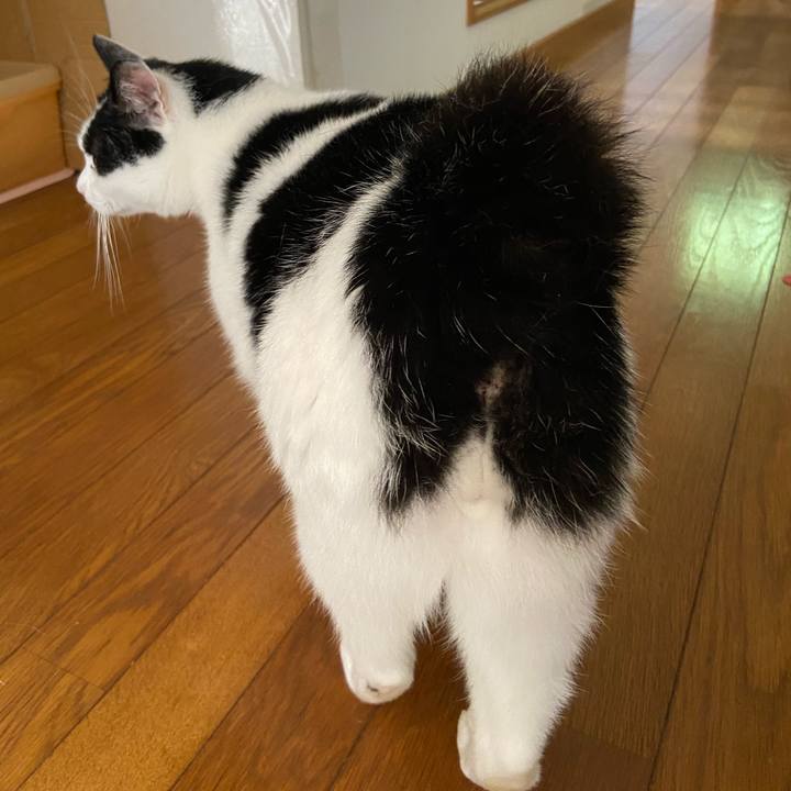 9cb2c132 88ae 4913 8739 1592895e4ed8 1595034748995