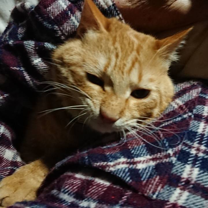 9cb2c4a7 2724 4c24 a8c3 3296b05c4478 1641415452622