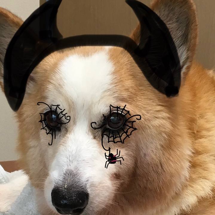 9cb2cf57 e979 416b 87f7 163859be1062 1572517940051