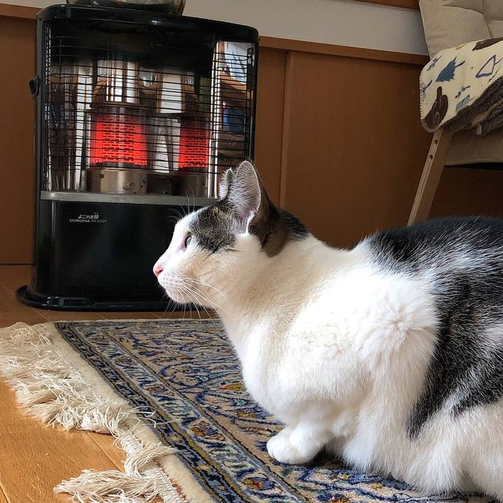 9cb2f013 8a8e 46d5 9a38 9f239b286188 1676853749662