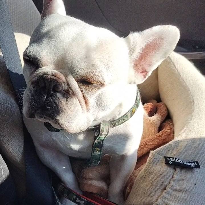 9cb30d7a 123e 4e76 9de9 4560f5856be5 1679265344427