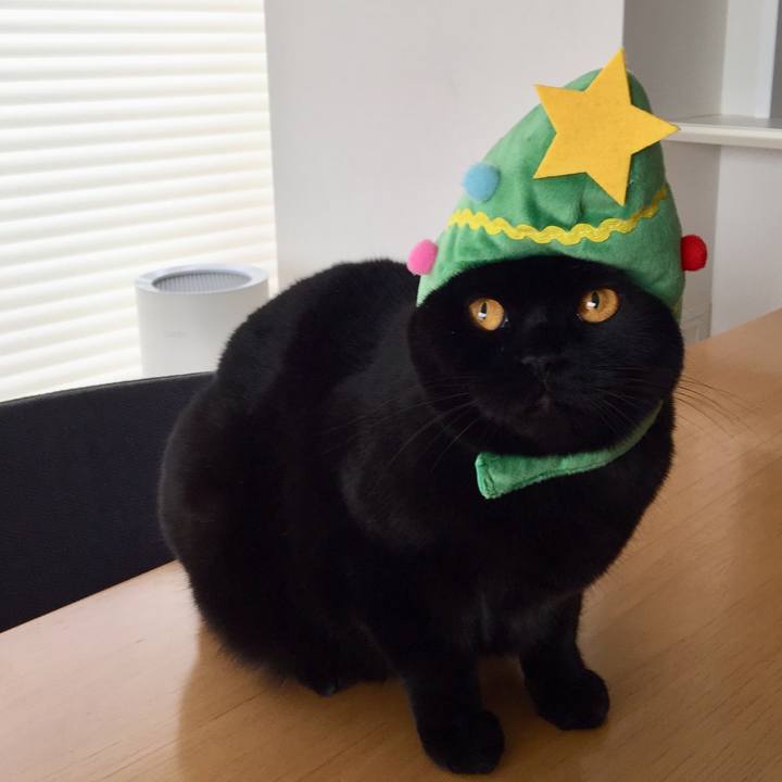 9cb31fa2 9d9d 4c94 8ab4 6ffe68df7204 1577227379120