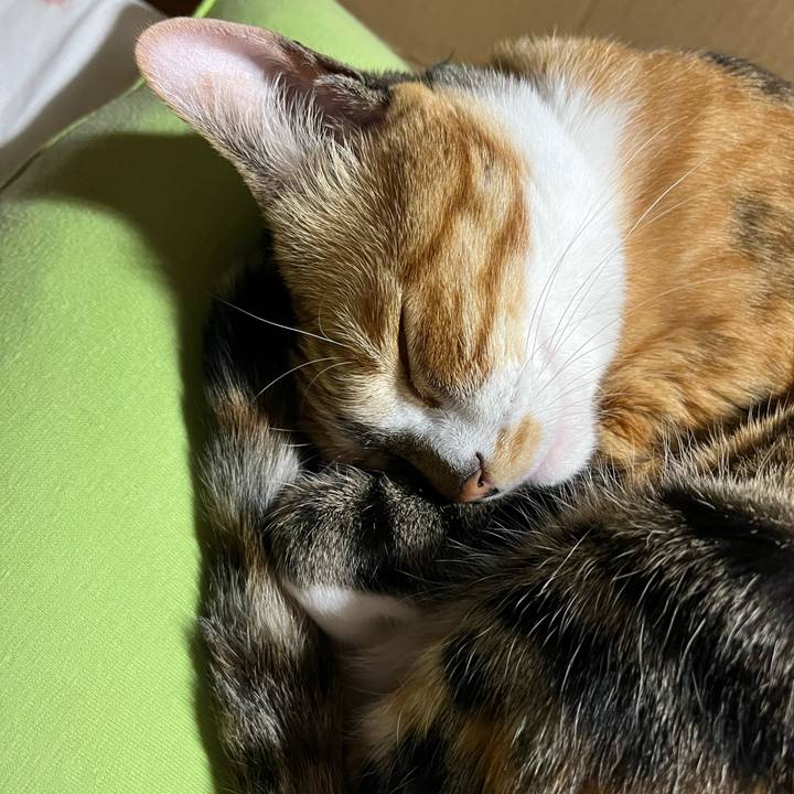 9cb3212f b20e 4dd8 9a3e bbf8be9b9273 1748645791528