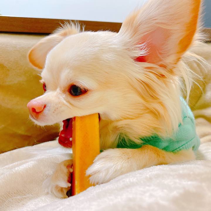 9cb36763 3866 44c2 a5f9 3f037e0e18a1 1645277294740