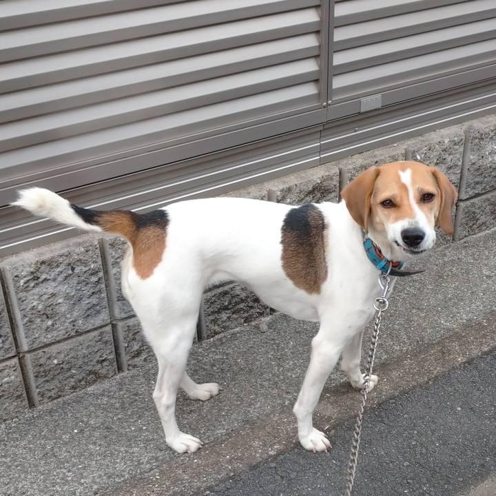 9cb369d6 5c18 4ca8 8de9 28e831547275 1605677299633