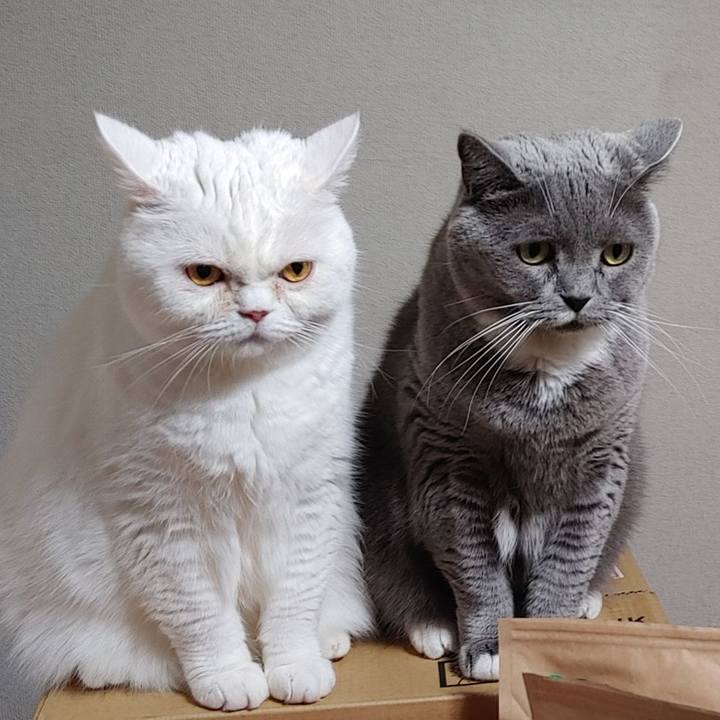 9cb3755e 5ba5 4245 96b7 4126af7bb7bf 1703771110687