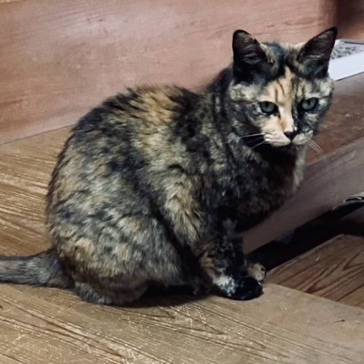 9cb3e8dc 096d 4a94 8b60 bdb6badeb95d 1742549015500