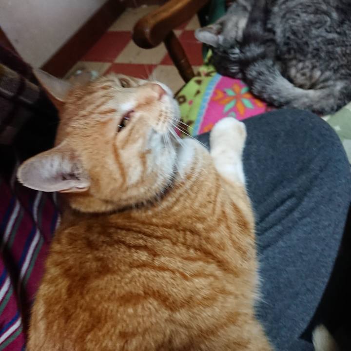 9cb3f605 5681 4134 a25f 689b5049a2ef 1578787458803