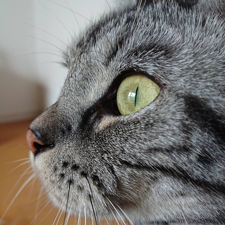 9cb3fbda 2c53 4f65 b4bf a4ed74bd0bf4 1528532087165