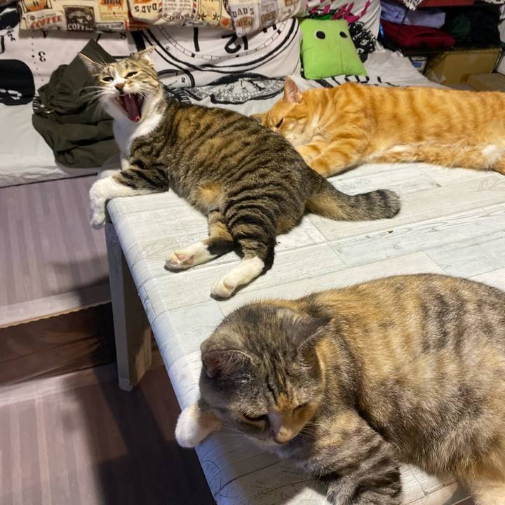 9cb40b9c d323 4f82 b8d6 8372b56b69fc 1627069116281