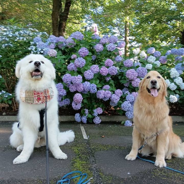 9cb41689 6263 458f b425 c099dbc3a963 1718791443074