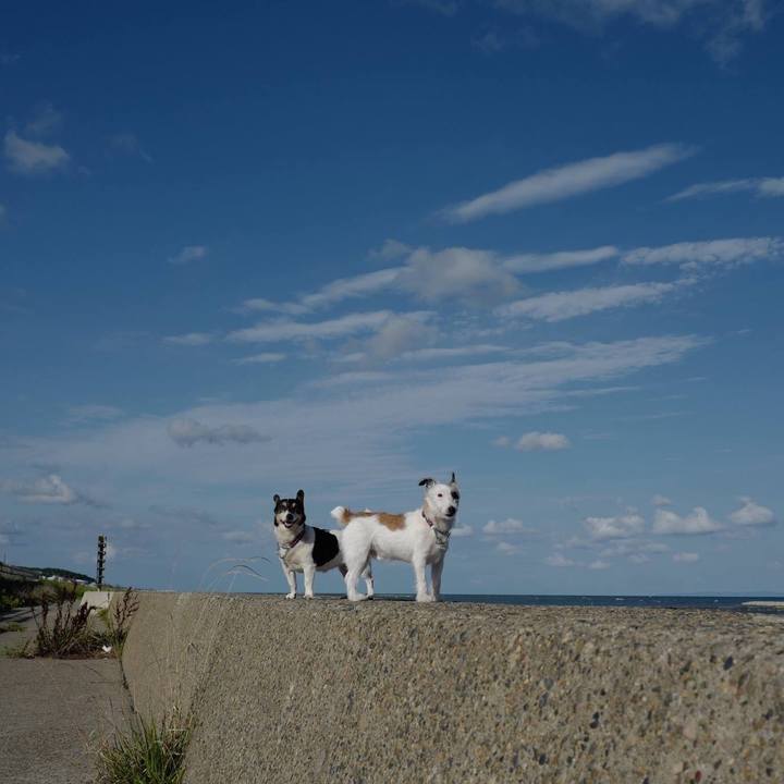 9cb428bb 5e32 4782 babe c453a3fcd1bb 1567481353697