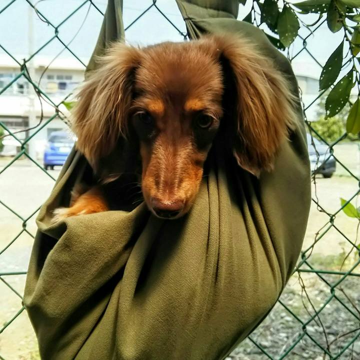 9cb4403e d3eb 42fd a5e0 7633b7072be9 1524979785897