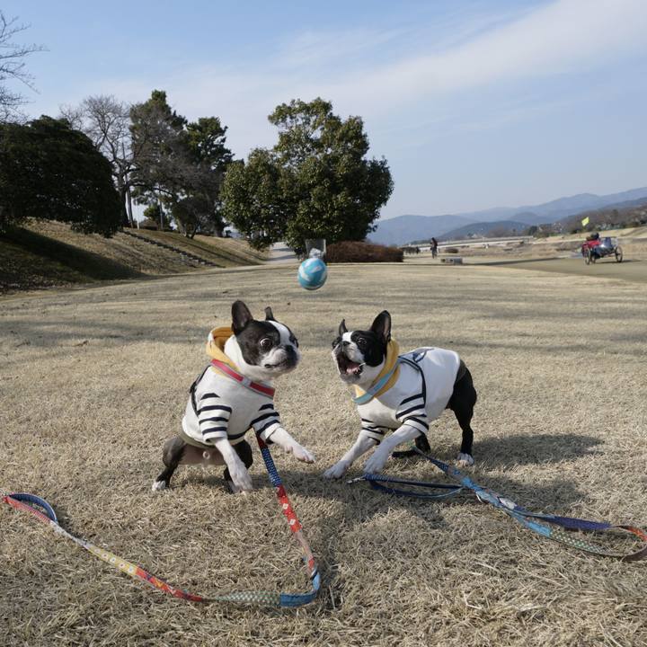 9cb4477f 2804 403b 855d e3284015f38d 1518181200463