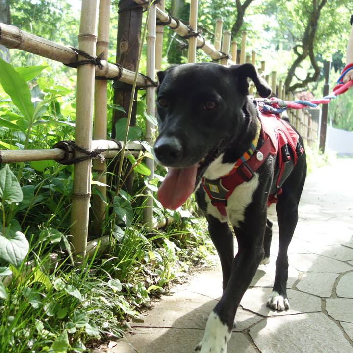 9cb482de e8ea 4a51 a347 b744c3126c62 1590368840952