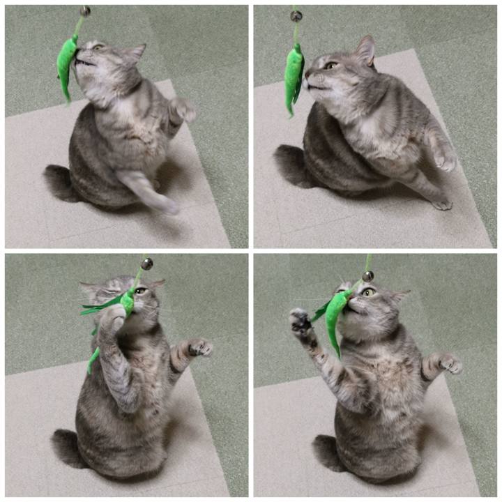 9cb49b28 5ac9 4c68 be73 b007e4084b66 1619917864990