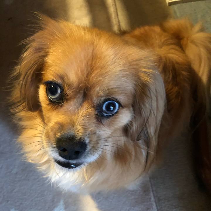 9cb4acce 8475 4529 945f 257a1563d75e 1561931196140