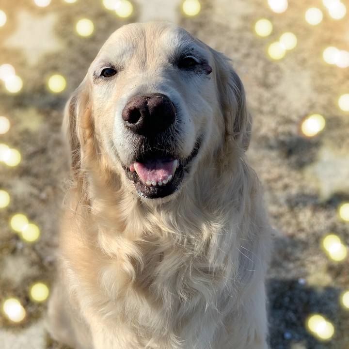 9cb4f062 efe4 4276 95e4 c5090d5dbdc6 1739847372749