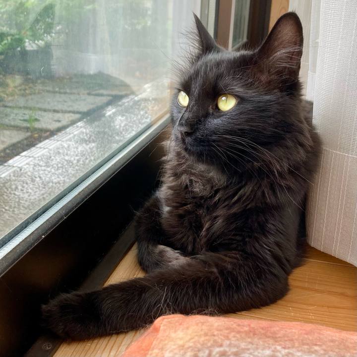 9cb529e0 3c1e 46e0 8b63 49c80569e8fd 1750827449121