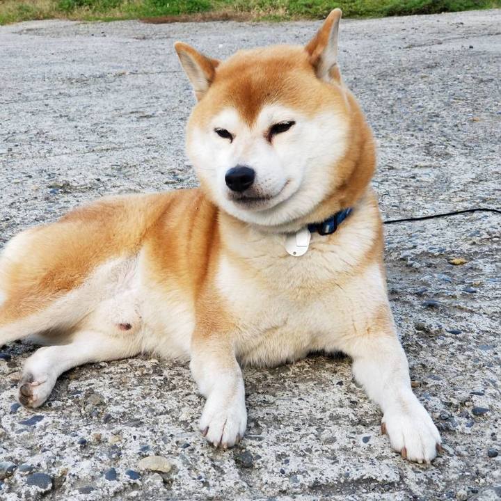 9cb533ce 3913 482c 9293 79656f32a6ec 1574491885620