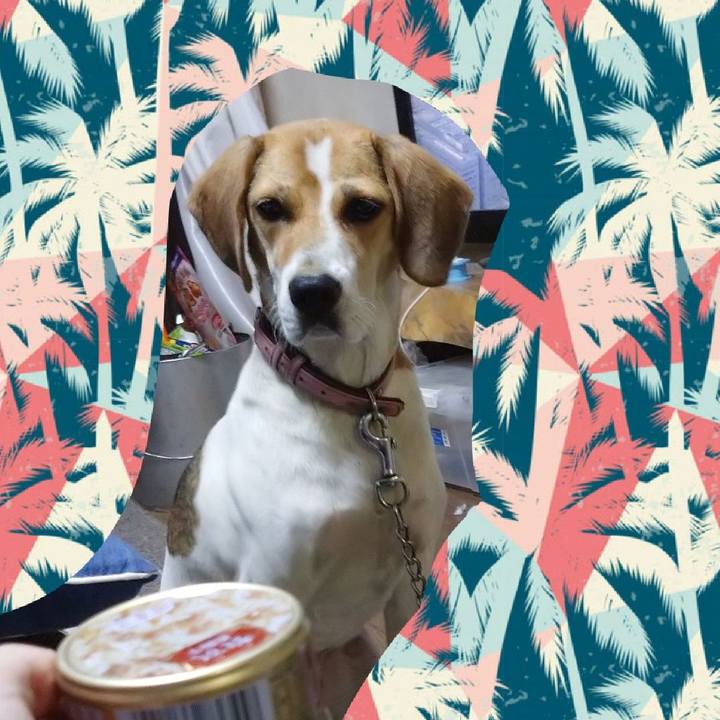 9cb53585 c96d 48a7 bb27 8afd08b5ad80 1598527537383