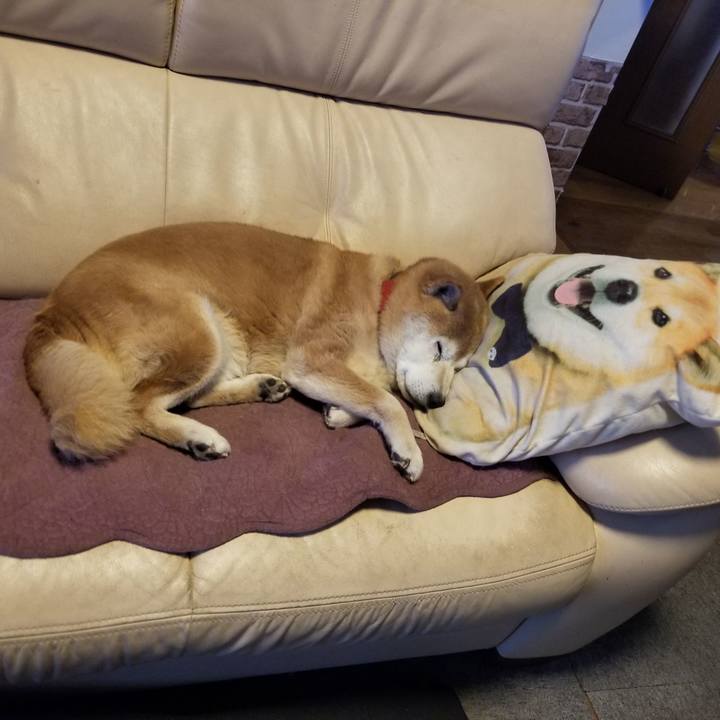 9cb57fbf e2e5 408b 8988 6645448f9cb2 1739141089055