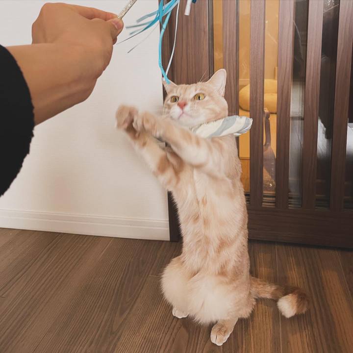 9cb5953f b4f9 4fae aeef f5df790f2dab 1704946527112