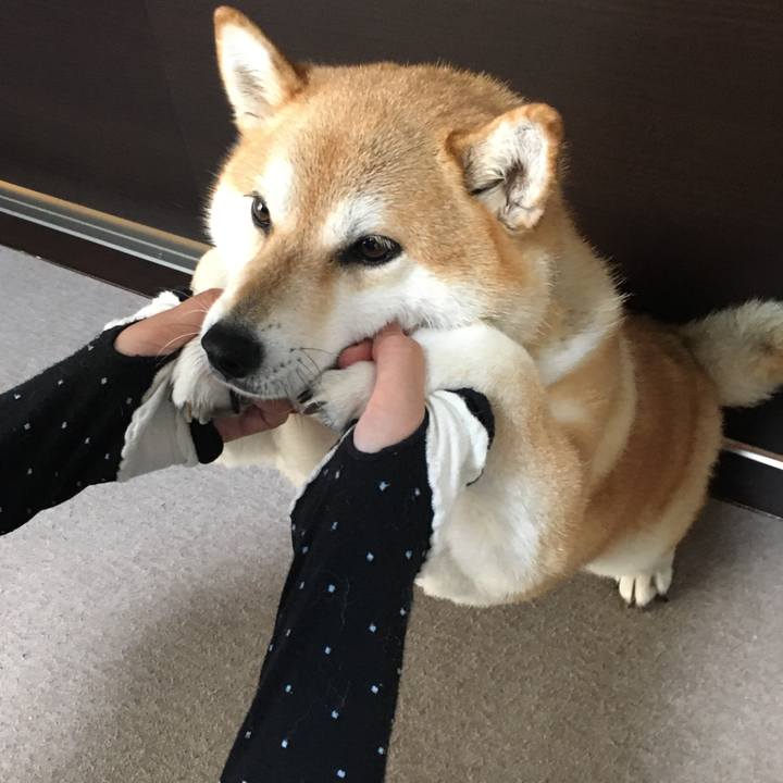 9cb5cc57 7ede 4709 b41f 006d52304991 1598256102135