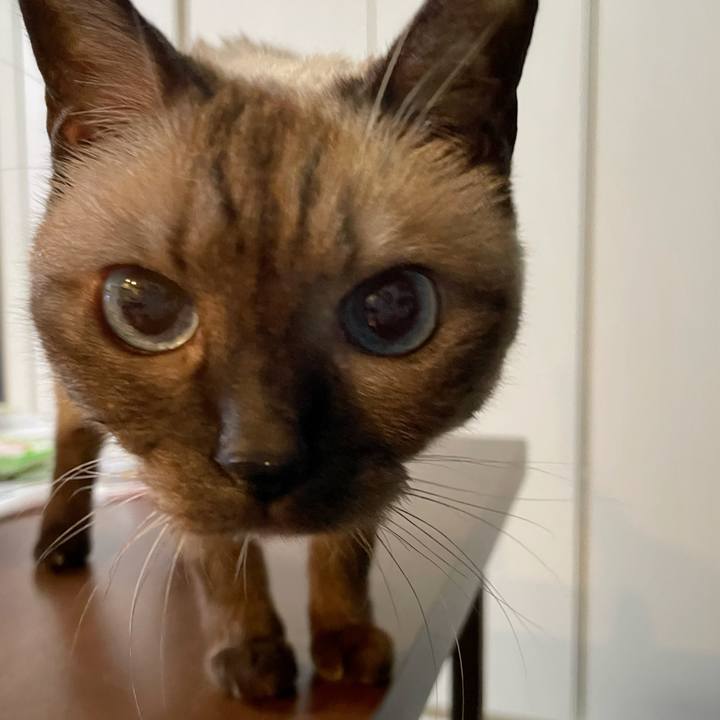 9cb5d0fb 70db 48d7 8c90 6f5178ded897 1755943738241