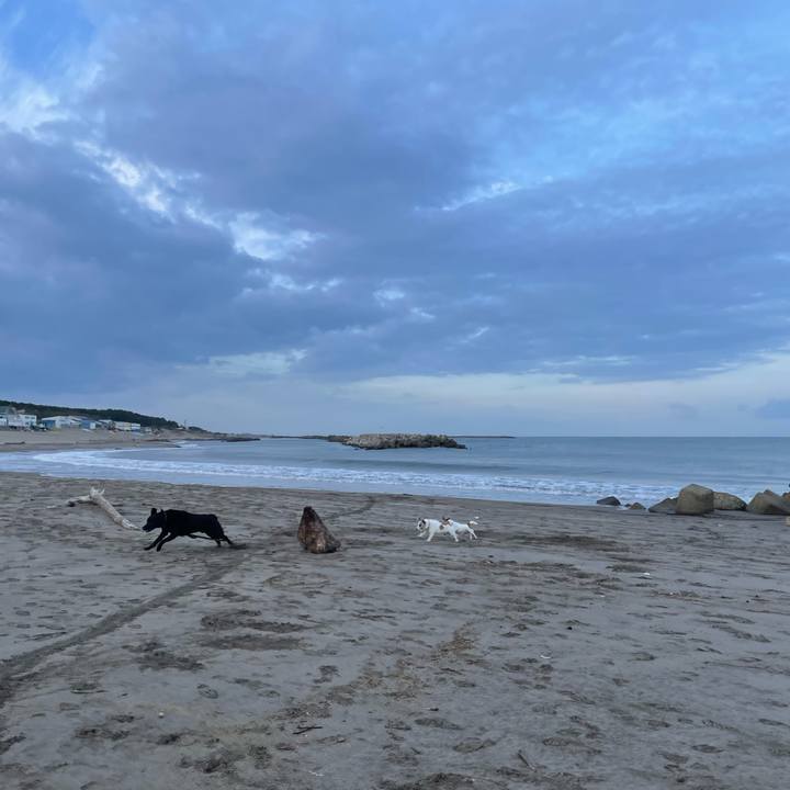 9cb5efe2 10a0 4fd5 9348 06c97f0576bc 1731366941849