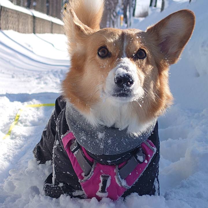 9cb5f203 68f5 4cae 88f2 086e3429c87a 1768190792281