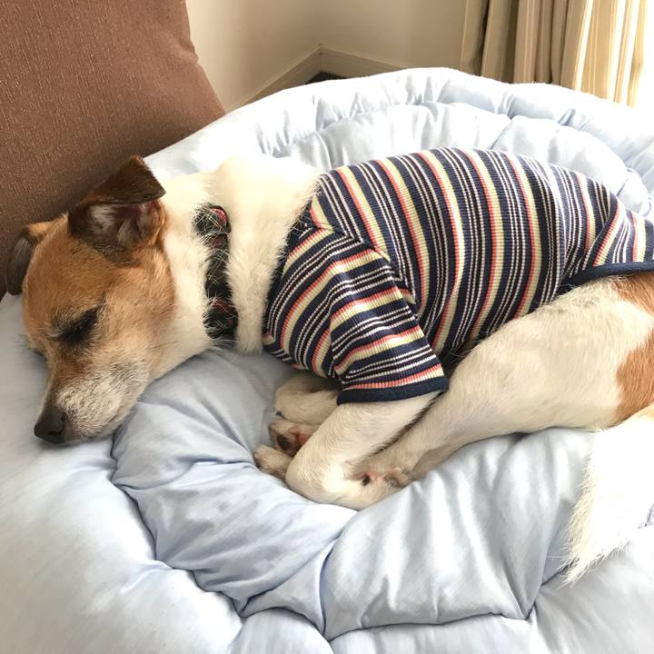 9cb620a7 6c3d 4cf9 9368 fe05d2070e56 1559545481167