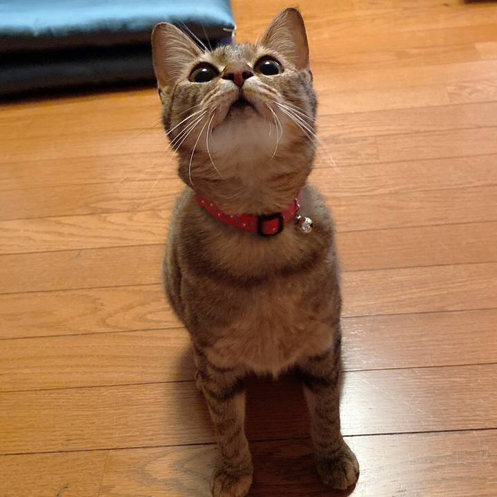 9cb62640 9910 4baa aec6 77b67e63b242 1589800808823