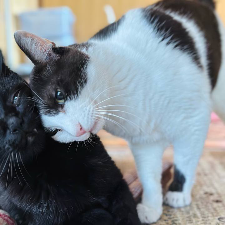 9cb6321a a902 4fd6 a2bf 673e70c18de0 1689903047228