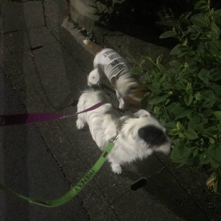 9cb639df ba3c 4c81 af41 8b44c6289cad 1531143133359