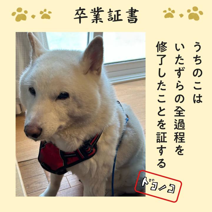 9cb65e29 5d03 486f a8fc be86b834801d 1771820165608