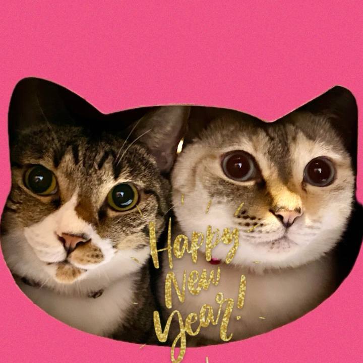 9cb669fd 9893 44bc 81cb 329f5e3a60bb 1735710990849