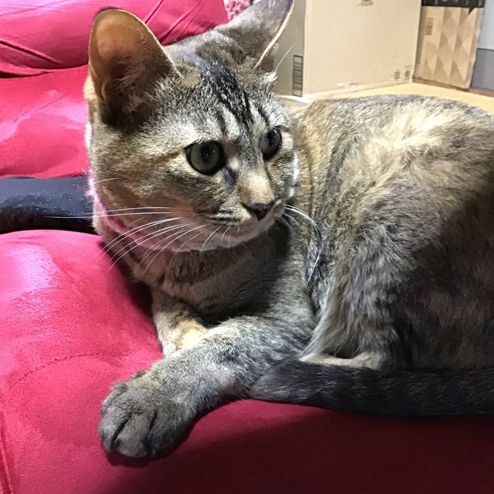 9cb68126 9cc7 4775 9f3c ac994960db2b 1625382275532