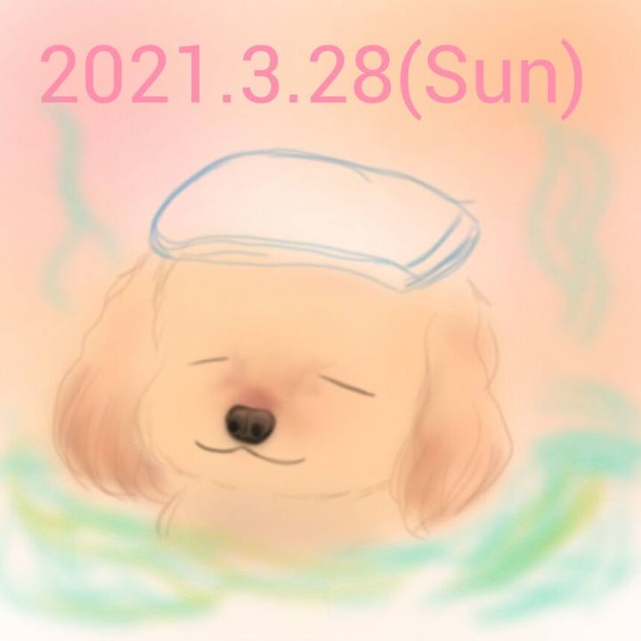 9cb68149 621c 4c7f a2ce 1bd25cbfb64e 1616934939022