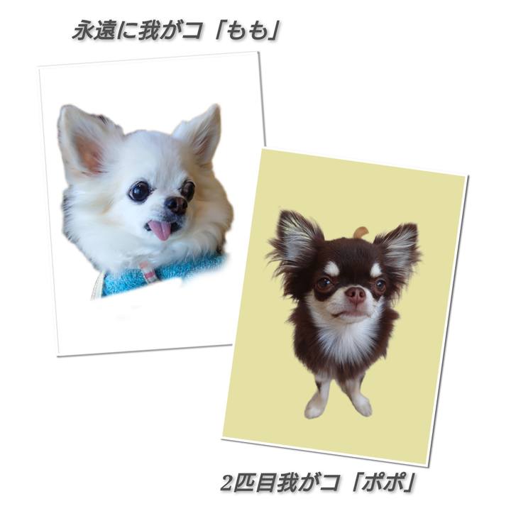 9cb690ad 8330 44c2 aa76 ceda0b0827a1 1772409693840