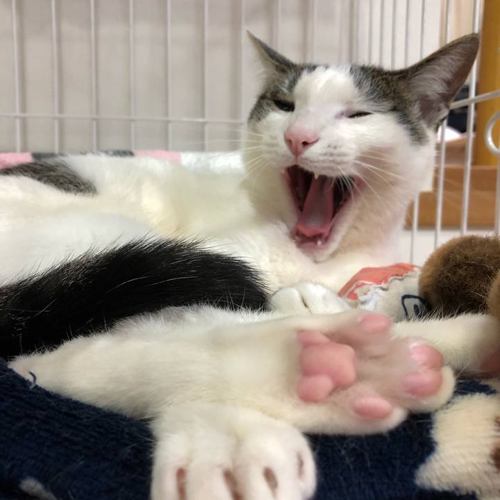 9cb6a51b 37c3 468e 969e 427c626d5b5b 1585915428236