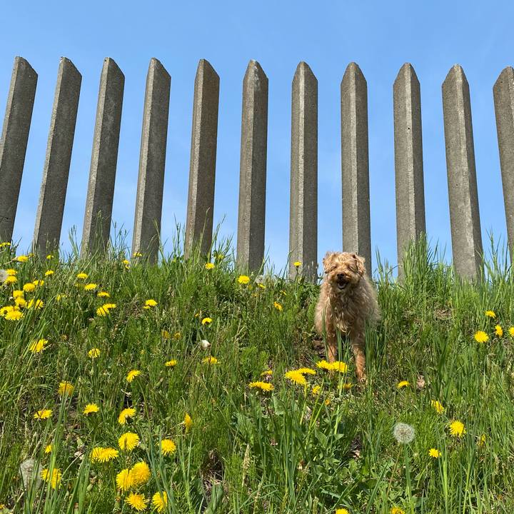 9cb6d675 df26 477f 9220 fb31d8617c1e 1653091062951