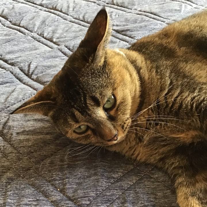 9cb6e84d 6197 4dc2 ab8c 147a70f12ee1 1693392979305