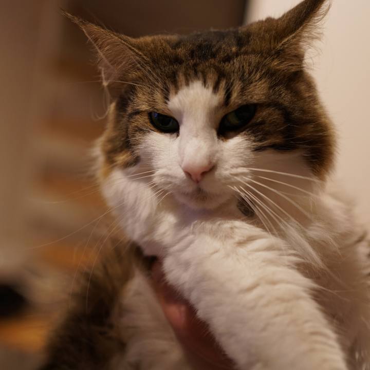 9cb718a2 4444 4d27 a4cb 078c3481ace6 1574425731846