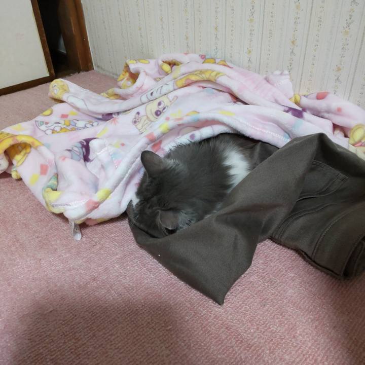 9cb73beb fec6 4d81 9f6e 1e7a0aae153b 1666611530563