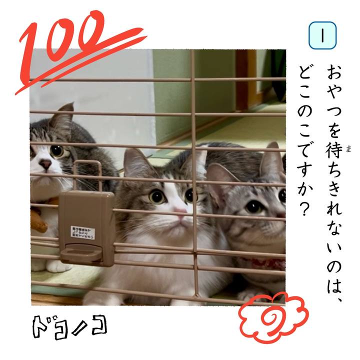 9cb75375 29f5 429c 9bb5 4e930a8f473a 1744321527312